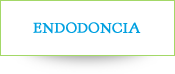 ENDODONCIA